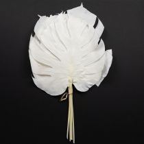 Artículo Hojas de Monstera blanqueadas, hoja decorativa para ventana, H40cm, 5 unidades