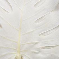 Artículo Hojas de Monstera blanqueadas, hoja decorativa para ventana, H40cm, 5 unidades