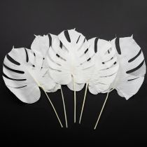 Artículo Hojas de monstera blanqueadas, decorativas para ventanas, 40 cm de alto, 5 unidades