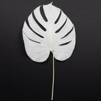 Artículo Hojas de Monstera blanqueadas, hoja decorativa para ventana, H40cm, 5 unidades