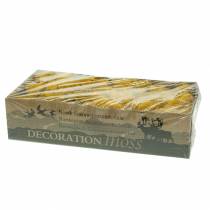 Artículo Musgo de Reno Amarillo 400g