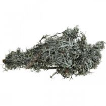 Artículo Deco twigs roble musgo musgo deco liquen decoración natural 750g