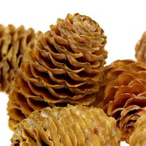 Sabulosum conos crema 500g