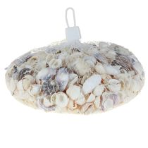 Artículo Decoración de conchas mini caracoles 1–3 cm 340 g