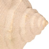 Artículo Caracol de mar Cerámica Azul y beige 16,5×11×9,5cm 2pzs