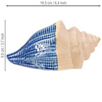 Artículo Caracol de mar Cerámica Azul y beige 16,5×11×9,5cm 2pzs