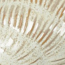 Artículo Cuenco de cerámica con diseño de conchas marinas para una elegante decoración en el salón, 23cm