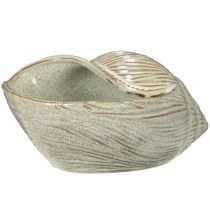 Artículo Cuenco de cerámica con diseño de conchas marinas para una elegante decoración en el salón, 23cm