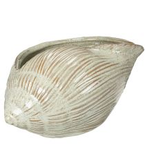 Artículo Cuenco de cerámica con diseño de conchas marinas para una elegante decoración en el salón, 23cm