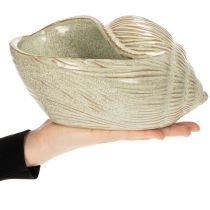 Artículo Cuenco de cerámica con diseño de conchas marinas para una elegante decoración en el salón, 23cm