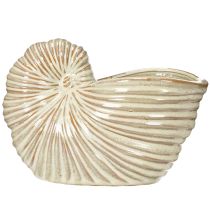 Artículo Maceta de cerámica con diseño de caracol para arreglos especiales de plantas, 21cm