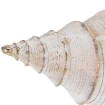 Artículo Forma decorativa de concha para una elegante decoración marítima, 44 cm