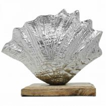 Artículo Concha para montar, decoración de metal marítimo con base de madera plateada, natural 16 × 19cm