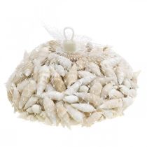 Artículo Deco caracoles blanco, caracol de mar decoración natural 2-5cm 1kg