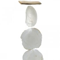 Guirnalda de conchas Nácar Guirnalda de conchas Capiz 195cm