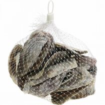 Artículo Decoración marítima, conchas de Capiz, artículos naturales nácar violeta 8–14cm 1kg