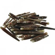 Artículo Conchas decorativas Espinas de erizo, espinas de erizo de mar, decoración marítima L3–8cm 450g