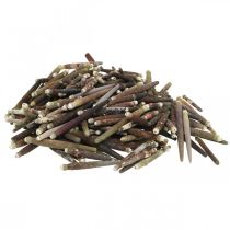 Artículo Conchas decorativas Espinas de erizo, espinas de erizo de mar, decoración marítima L3–8cm 450g