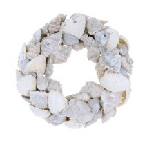 Corona de concha blanca Ø14cm