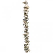 Artículo Guirnalda de conchas, decoración de verano, conchas en una cinta, decoración del mar colores naturales L60cm