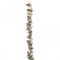 Artículo Guirnalda de conchas, decoración marítima, verano, collar de conchas colores naturales L130cm