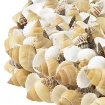 Artículo Corona de conchas conchas caracoles de mar blanco natural Ø35cm