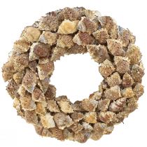 Corona de conchas decoración de pared corona decorativa natural para colgar Ø35cm