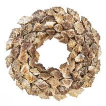 Artículo Corona de conchas para colgar decoración de conchas coco marrón Ø24cm