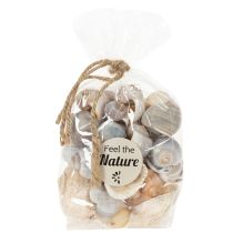 Artículo Caracoles y conchas: detalles decorativos marinos para embellecer habitaciones de forma única - 500 g