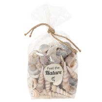 Artículo Conchas y caracoles. Elementos decorativos marinos naturales para un diseño de interiores elegante. 500 g.