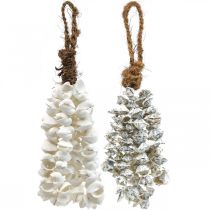 Conchas collar de conchas colgante de conchas deco marítimo 2 piezas