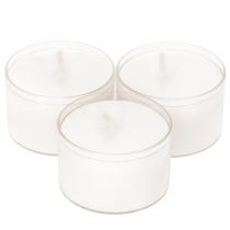 Artículo Velas nocturnas tipo té, blancas, en bandeja de plástico, 8 horas de duración, 50 unidades.