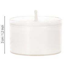 Artículo Velas nocturnas tipo té, blancas, en bandeja de plástico, 8 horas de duración, 50 unidades.