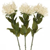 Alfiletero flores artificiales exóticas protea leucospermum crema 73cm 3pcs
