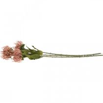 Artículo Alfiletero flor de otoño artificial Protea Rosa Leucospermum 73cm 3uds