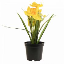 Narciso en maceta flor artificial amarilla narciso H21cm