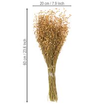 Artículo Hierbas secas de lino natural para arreglos florales secos Linum Natur 60cm 180g