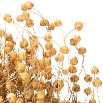 Artículo Hierbas de lino natural secas para arreglos florales secos Linum Natur 60cm 180g