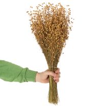 Artículo Hierbas secas de lino natural para arreglos florales secos Linum Natur 60cm 180g