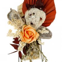 Artículo Cojín natural cojines para tumbas exóticos secos 3 veces surtido 24 piezas