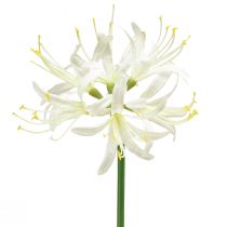 Artículo Nerine Guernsey Lily Flor Artificial Blanco Amarillo Ø15cm L65cm