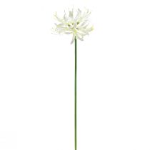 Artículo Nerine Guernsey Lily Flor Artificial Blanco Amarillo Ø15cm L65cm
