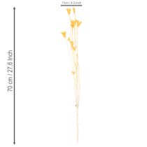 Artículo Arreglo de flores secas de Nigella para uso prolongado. Elegante y atractivo. 70 cm, 50 g.