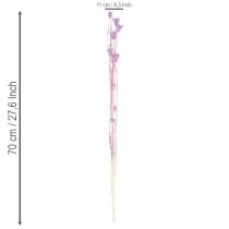 Artículo Ramo de flores secas de Nigella, uso decorativo en el salón, crea un ambiente único, 70cm, 50g