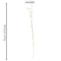 Artículo Flores secas de Nigella, ramo de elegante decoración natural para interiores exclusivos, 70 cm, 50 g