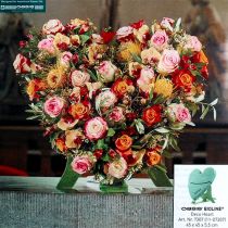 Artículo OASIS® Bioline® Deco y corazón de titanio 45cm