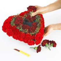 Artículo OASIS® Biolit® corazón grande 34cm 2uds