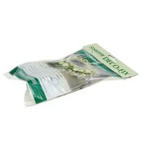 Artículo OASIS® Deco-Fix 10uds