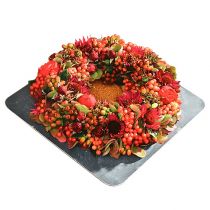 Artículo Anillo de espuma floral con cuenco verde Ø30cm H4,5cm 2 piezas