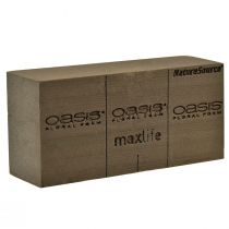 Artículo Oasis NatureSource Maxlife Floral Ladrillo Espuma Marrón 23×11×7.5cm 1ud